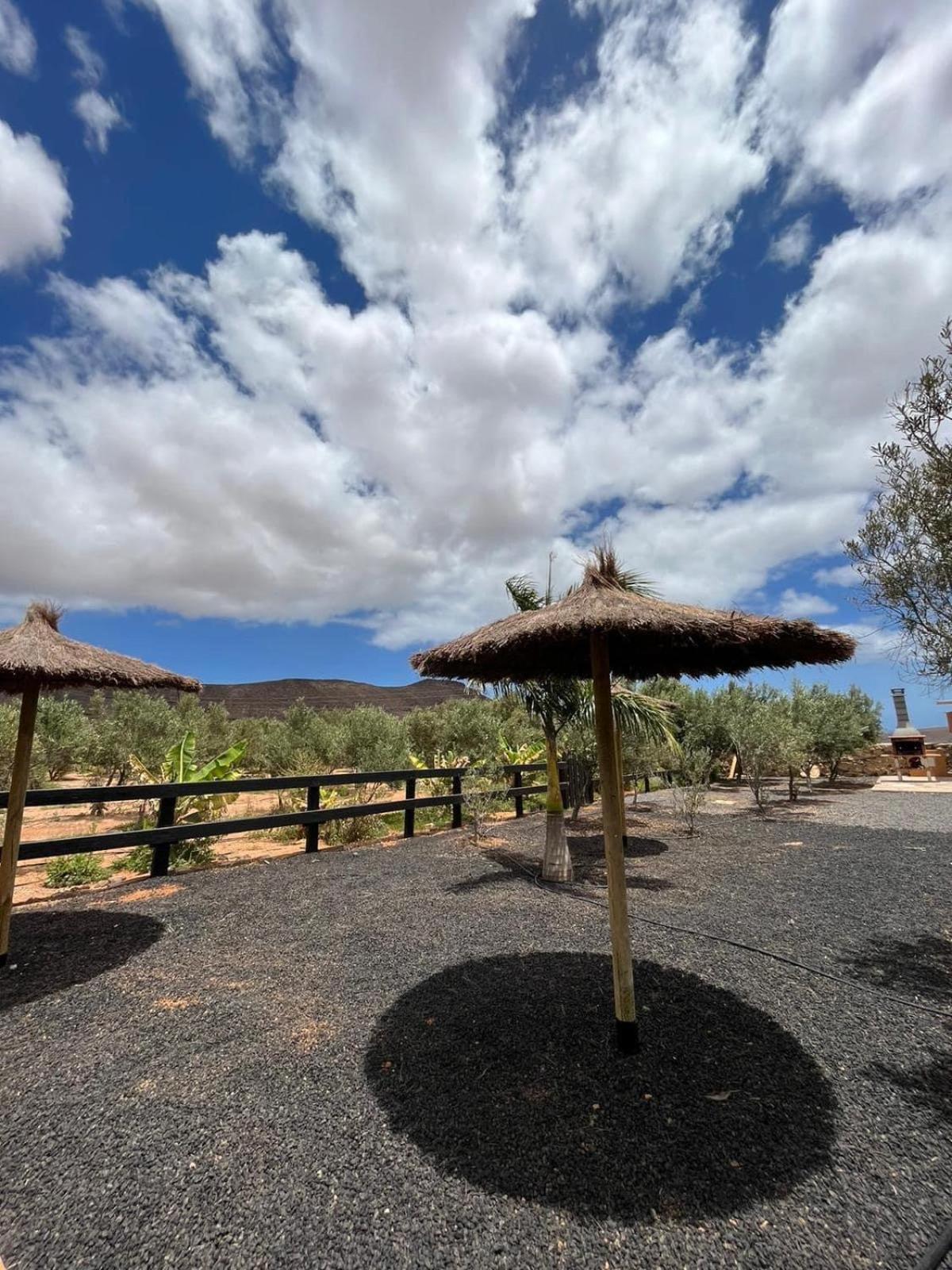 El Olivar Experiences - Adults Recommended